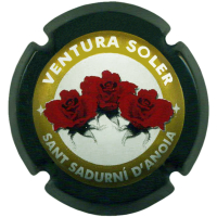 Placa