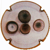 Pirules