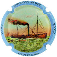 Placa